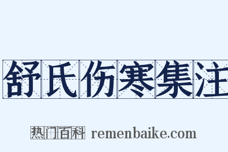 舒氏伤寒集注是什么意思的图片